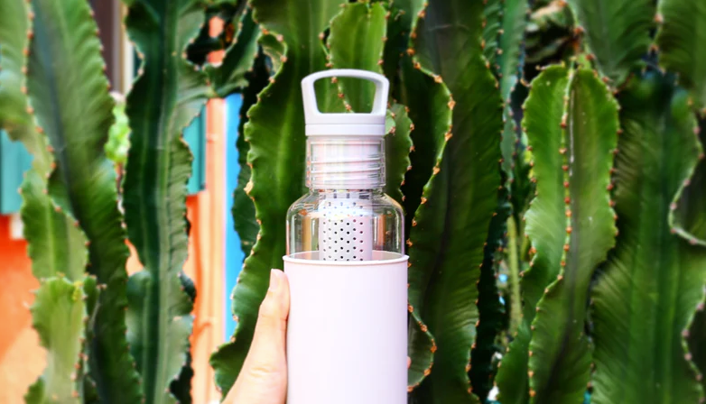 Infused Water Benefits: A Delicious and Healthy Alternative