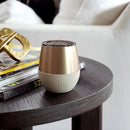 Metallic fir Tumbler-Eucalyptus 8 OZ