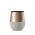 Metallic fir Tumbler-Eucalyptus 8 OZ